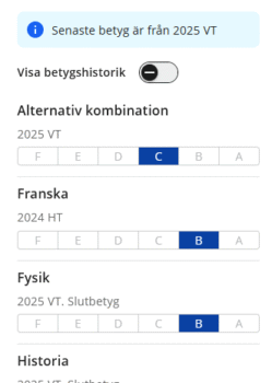 Bild som visar hur tjänsten Visa betyg ser ut
